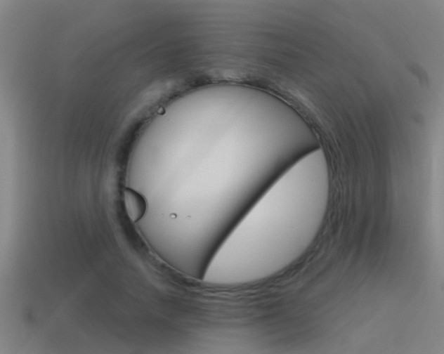 X0000115490738200911061001