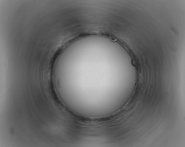 X0000115490739200911061001