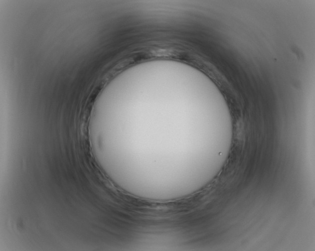 X0000115490741200911061001