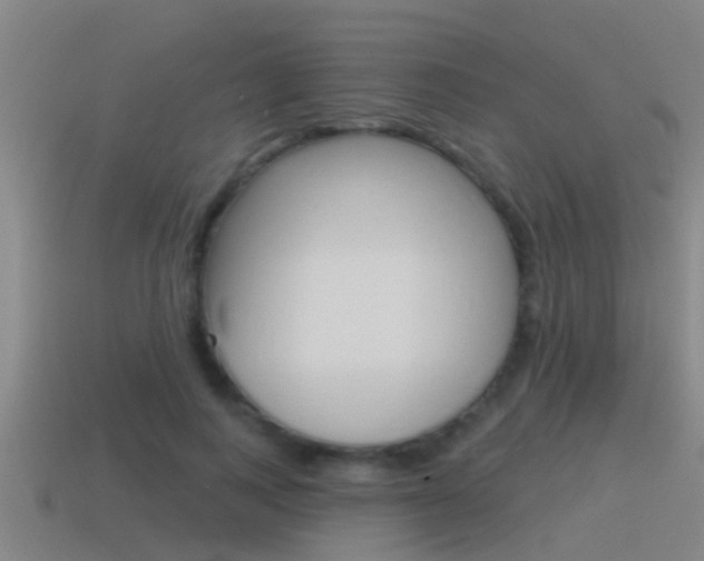 X0000115490743200911061001