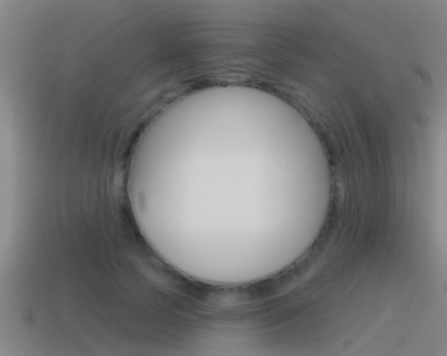 X0000115490745200911061001