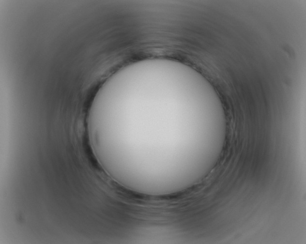 X0000115490746200911061001