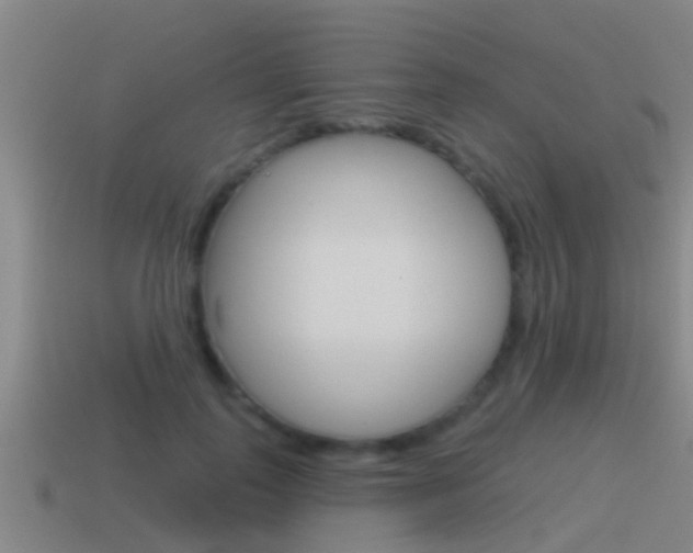 X0000115490747200911061001