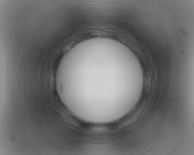 X0000115490749200911061001