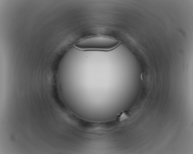 X0000115490750200911061001