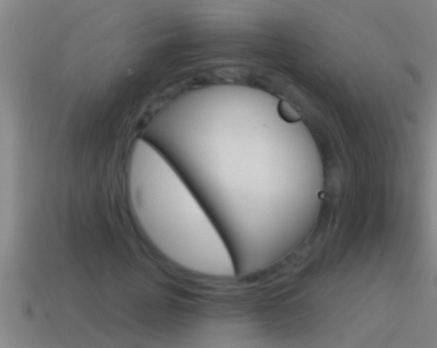 X0000115490751200911061001