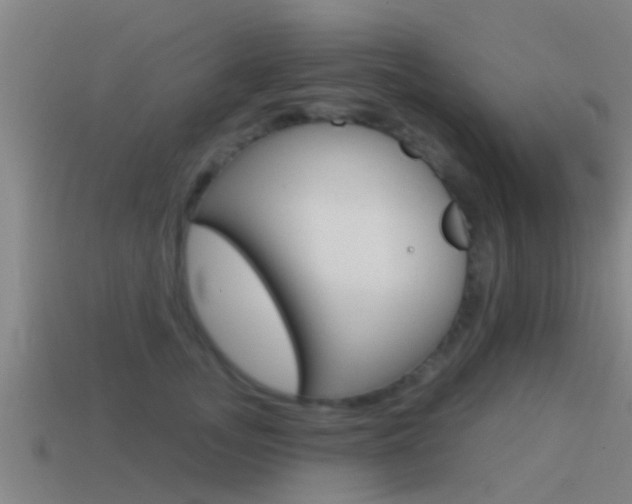 X0000115490755200911061001