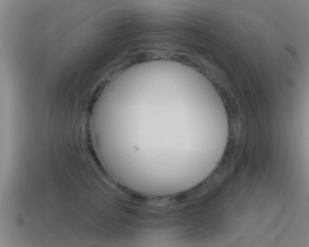 X0000115490757200911061001