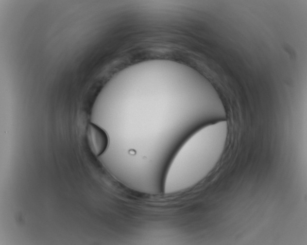 X0000115490758200911061002