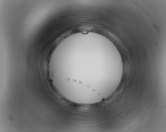 X0000115490761200911061002