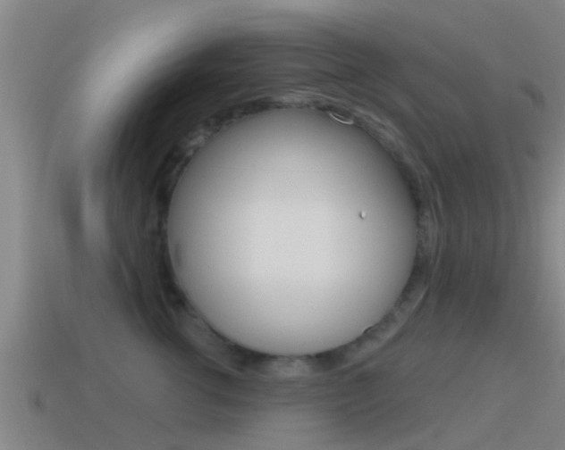 X0000115490762200911061002