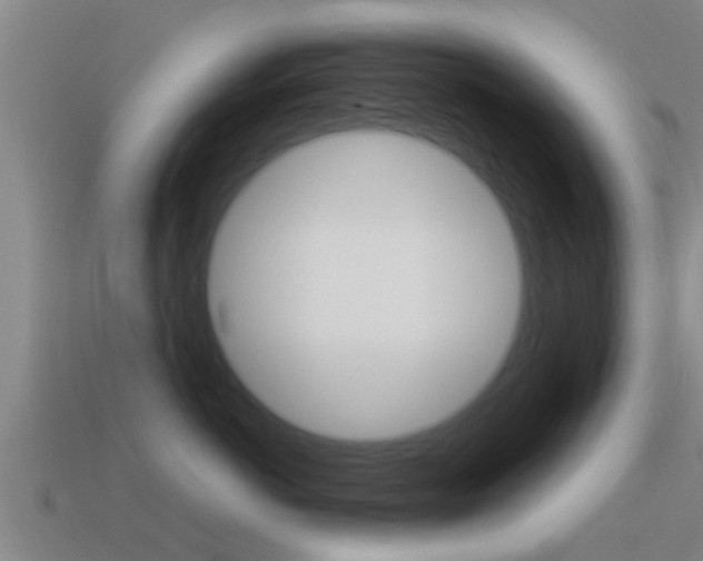 X0000115490766200911061002