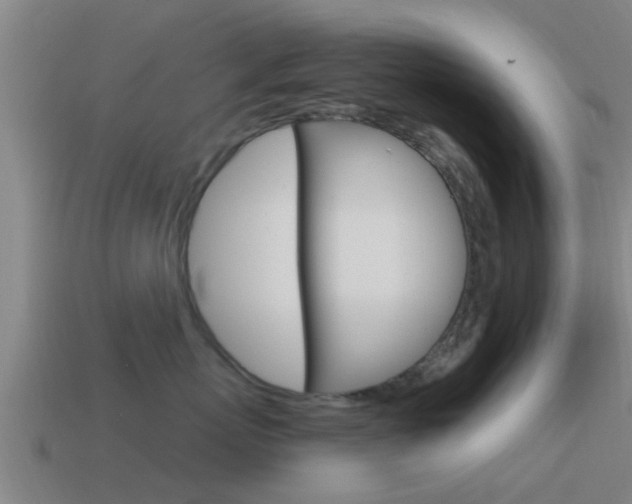 X0000115490767200911061002