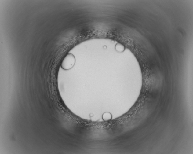 X0000115490769200911061001