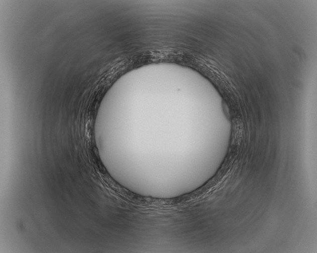 X0000115490770200911061001