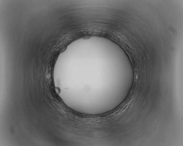 X0000115490771200911061001