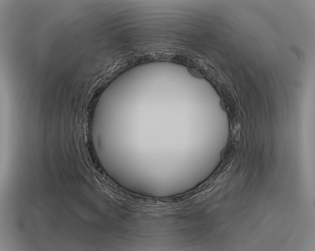 X0000115490772200911061001