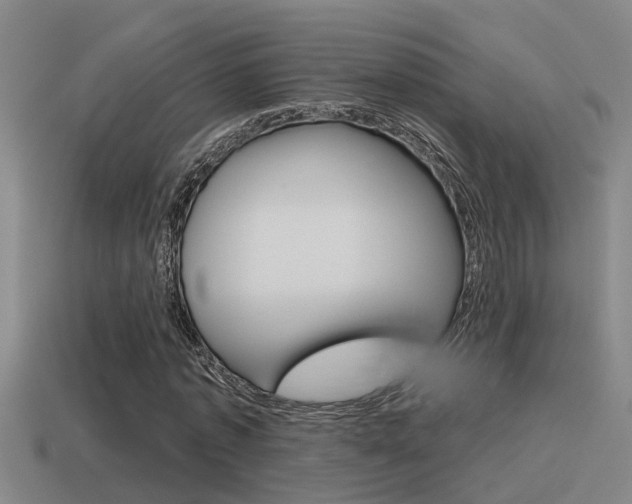 X0000115490773200911061001