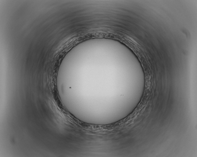 X0000115490774200911061001