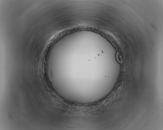X0000115490776200911061001