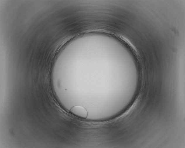 X0000115490777200911061001