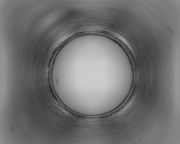 X0000115490778200911061001