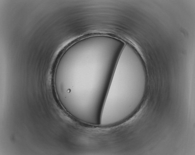 X0000115490779200911061001