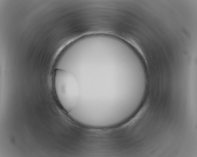 X0000115490781200911061001