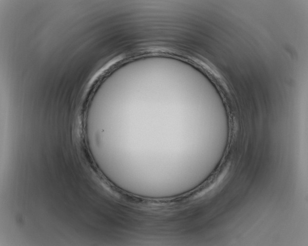 X0000115490782200911061001