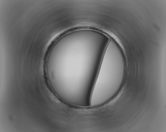 X0000115490783200911061001