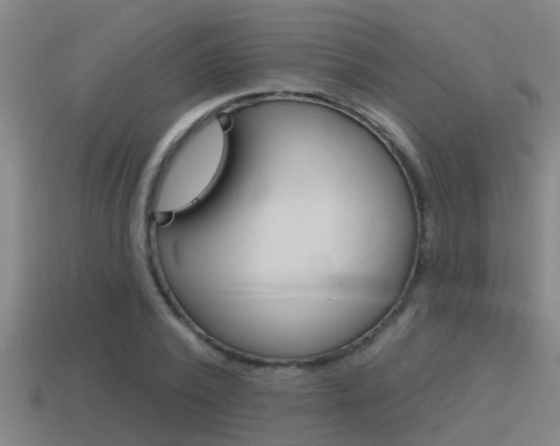 X0000115490784200911061001