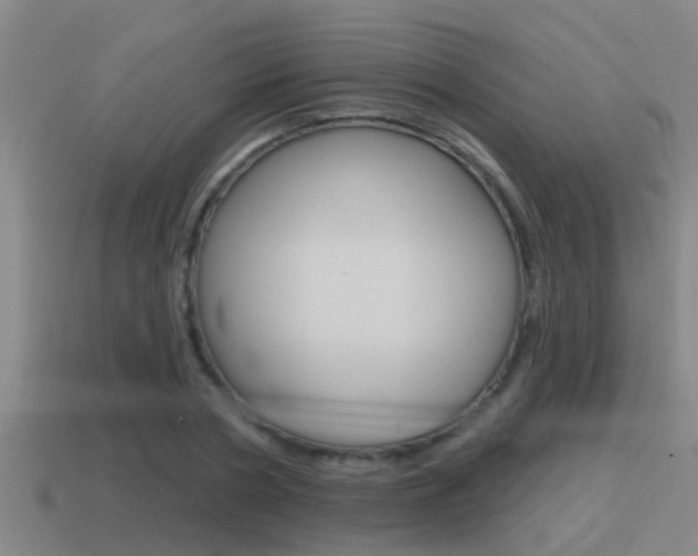 X0000115490786200911061001