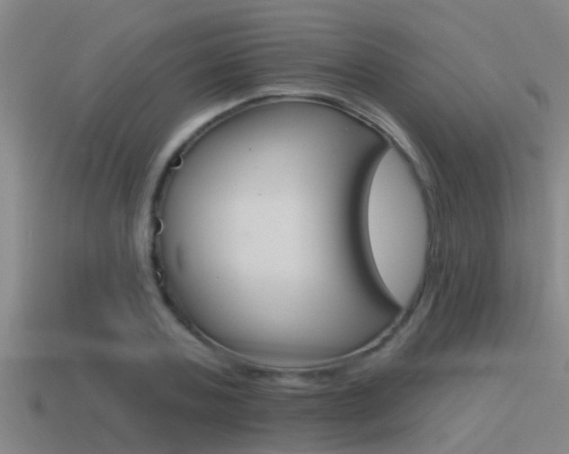 X0000115490787200911061001