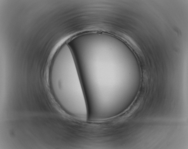 X0000115490788200911061001