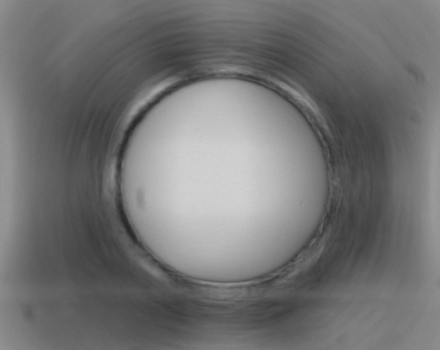 X0000115490790200911061001