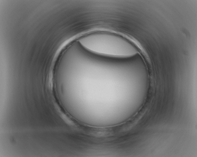 X0000115490791200911061001