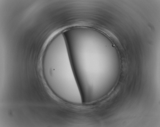 X0000115490792200911061001