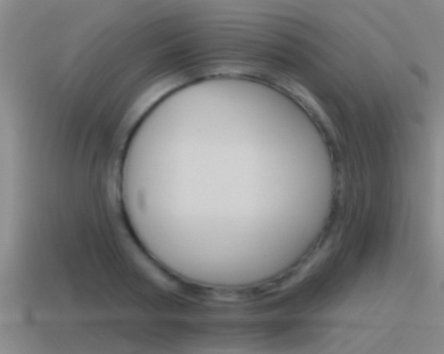 X0000115490794200911061001