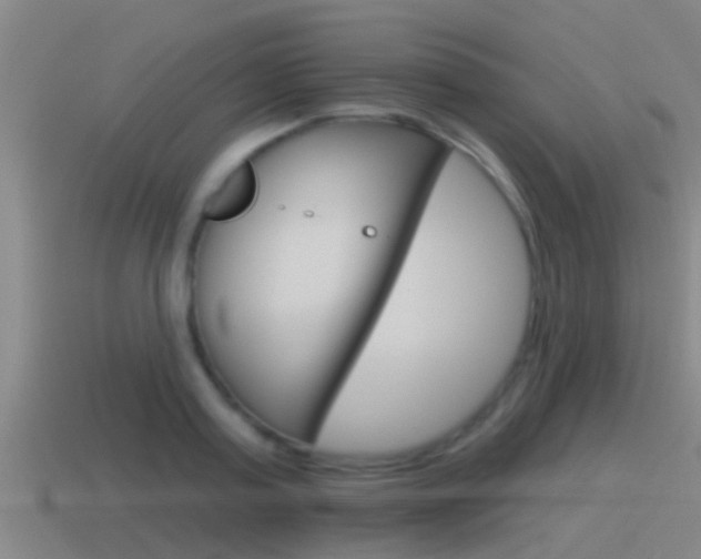 X0000115490795200911061001