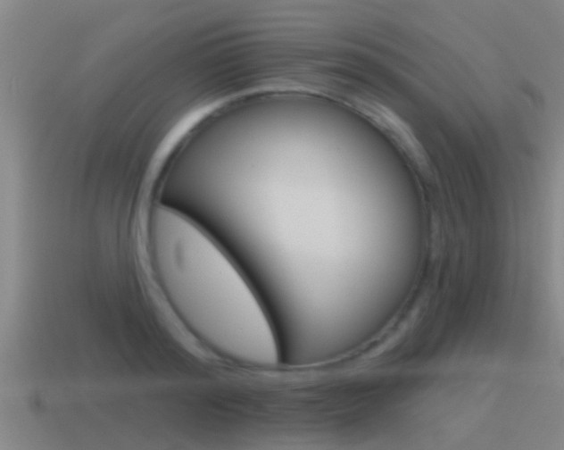 X0000115490796200911061001