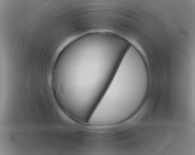 X0000115490797200911061001