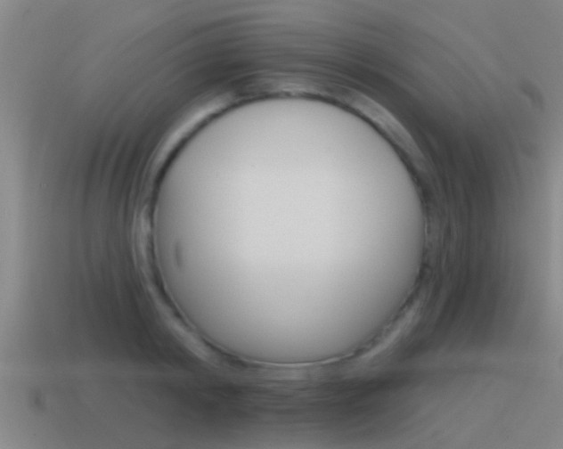 X0000115490798200911061001