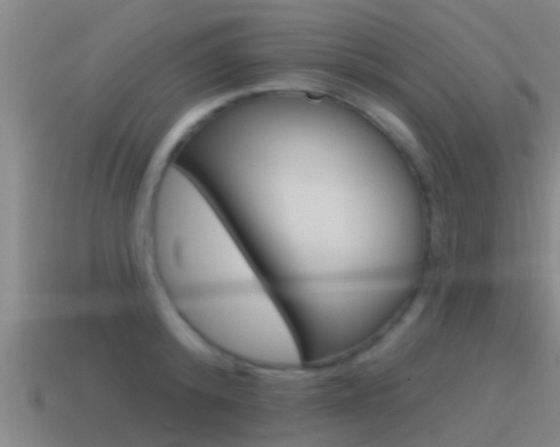X0000115490800200911061001