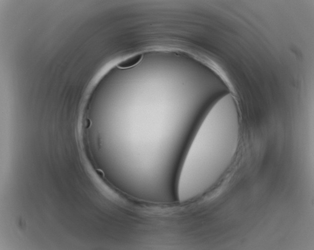 X0000115490803200911061001