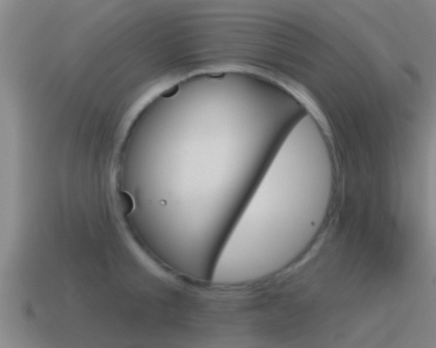 X0000115490805200911061001