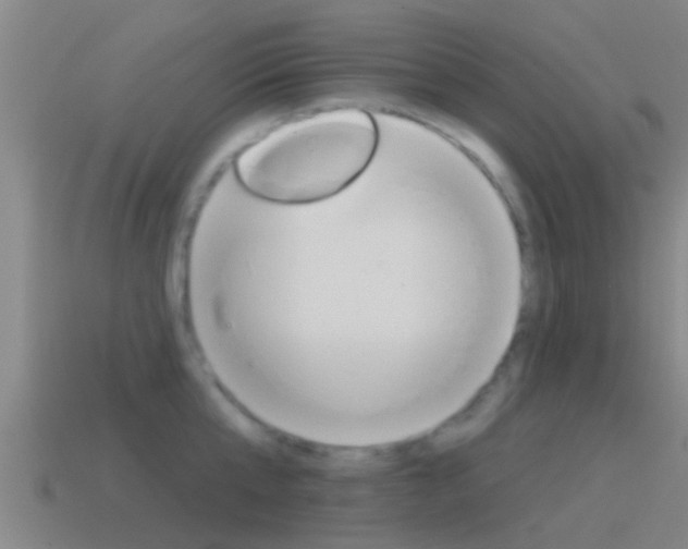 X0000115490807200911061000