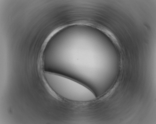 X0000115490808200911061000