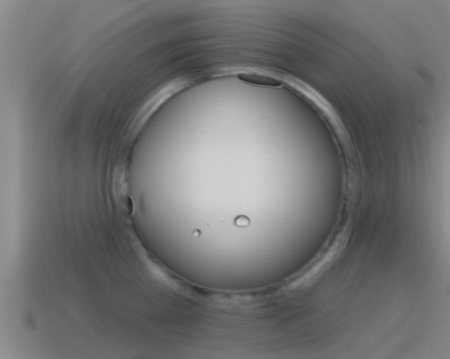 X0000115490809200911061000