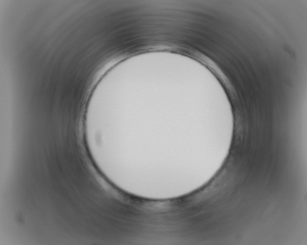 X0000115490810200911061000