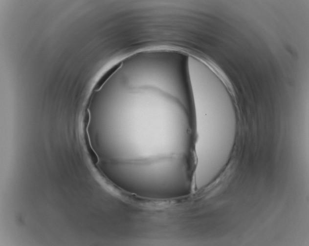 X0000115490813200911061000